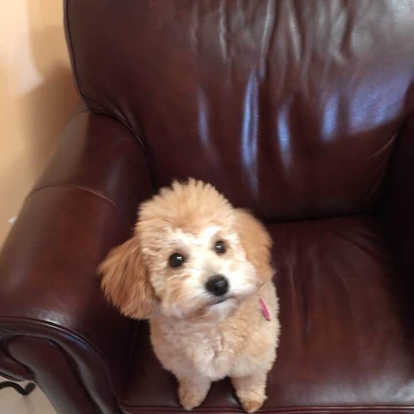 Meet your Posher, Regina - Picture 1 of 1